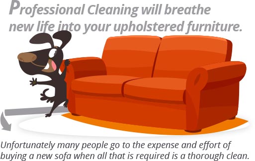 Professional Upholstery Cleaning Professional Upholstery Cleaning
